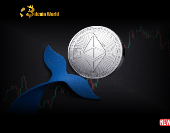 eth shark and whale