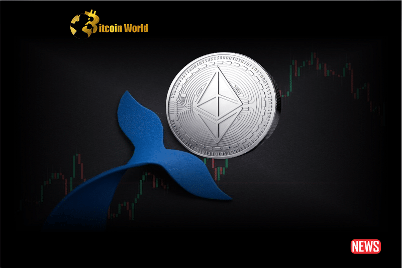 eth shark and whale