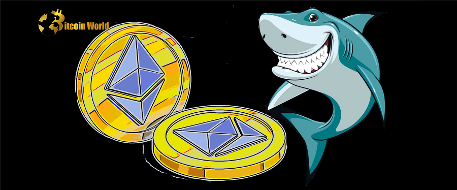 eth shark
