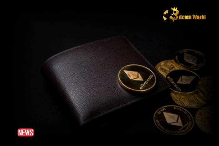 Dormant Ethereum Wallets From ICO Era Coming To Live