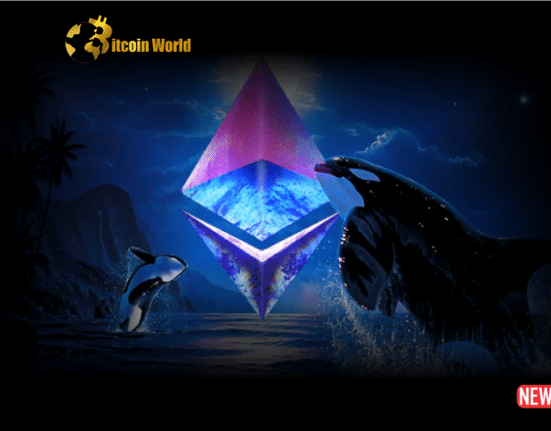 eth whale 1 1