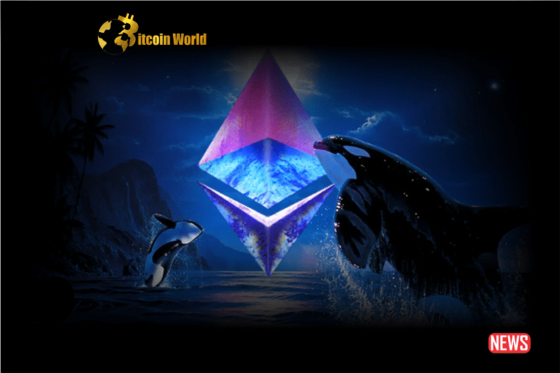eth whale 1 1