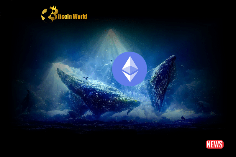 eth whale 1 2