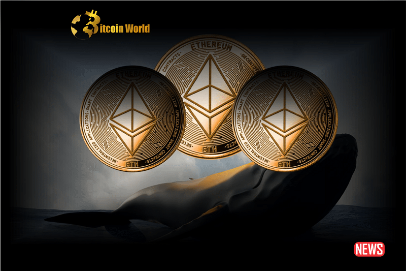 eth whale 4 1