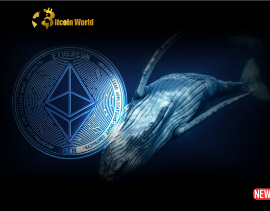 eth whale 5 1