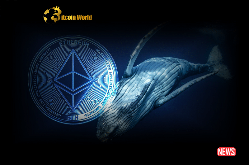 eth whale 5 1