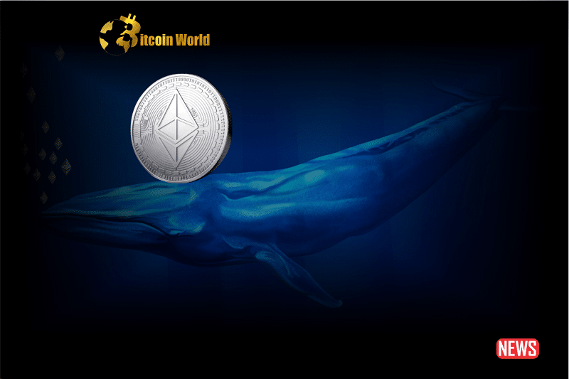 eth whale 5