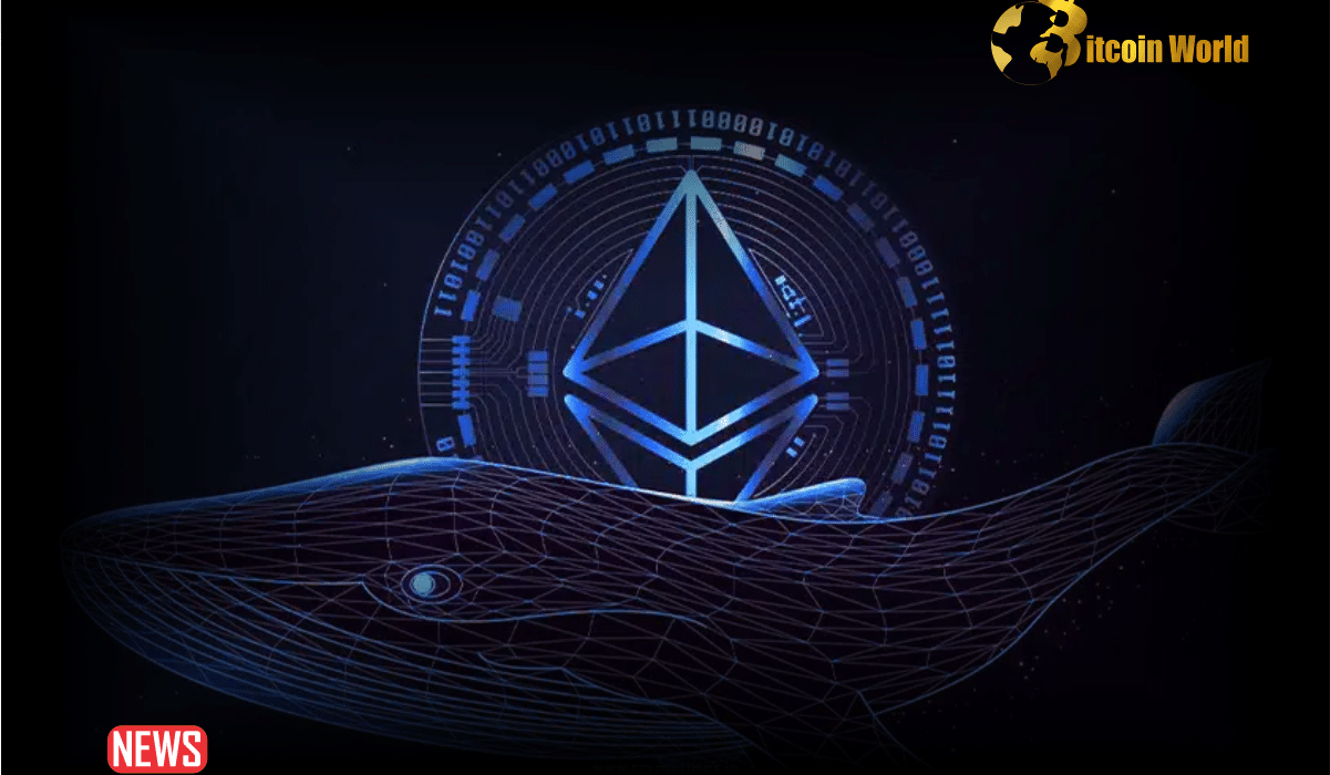 Whale Withdraws Ethereum Worth $15.9M from Binance Amid Price Rally