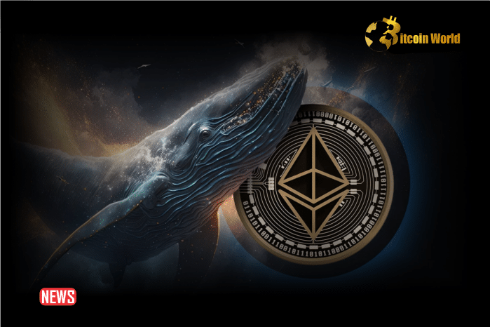 Whales Are Buying Ethereum Like Crazy Amid ETH Price Drop
