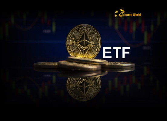 Ethereum ETF Inflows Soar US Spot ETH ETFs See Remarkable 14-Day Streak