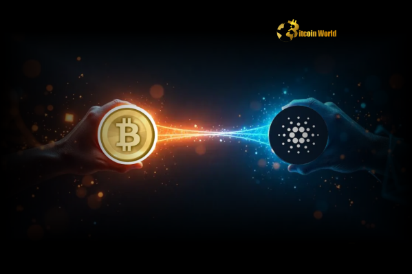 Exciting Cardano Bitcoin DeFi Launch Cardinal Protocol Bridges ADA and BTC