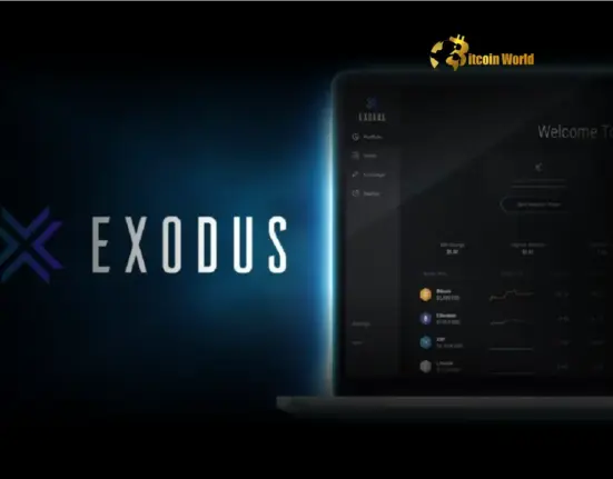 Exodus Crypto Card Unlock Seamless USDT USDC Payments