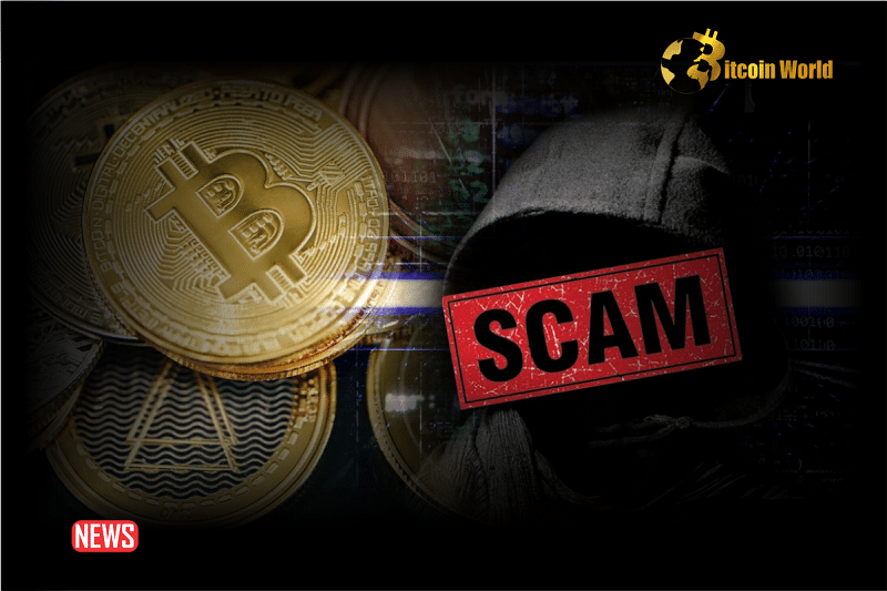 Beware Of Fake Tokens! Scammer Stole $91k In Fake Sleepless AI, FomoFi, NebulaNode Tokens