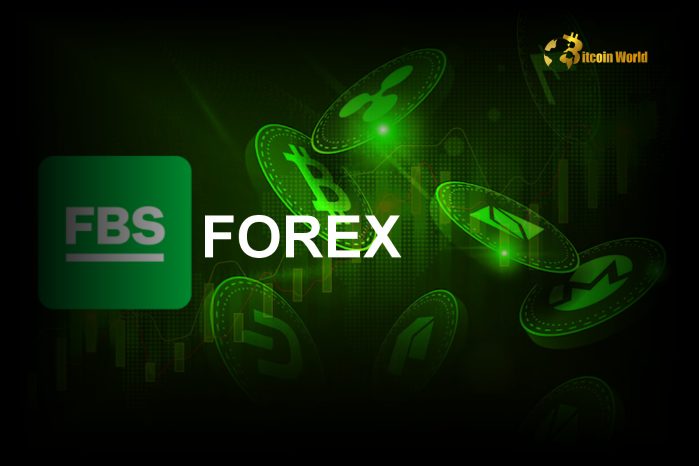 FBS Forex Review 2024