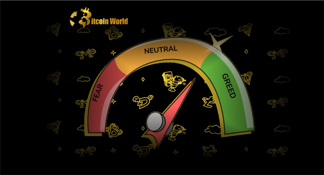 fear and greed btc
