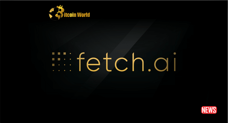 fetch
