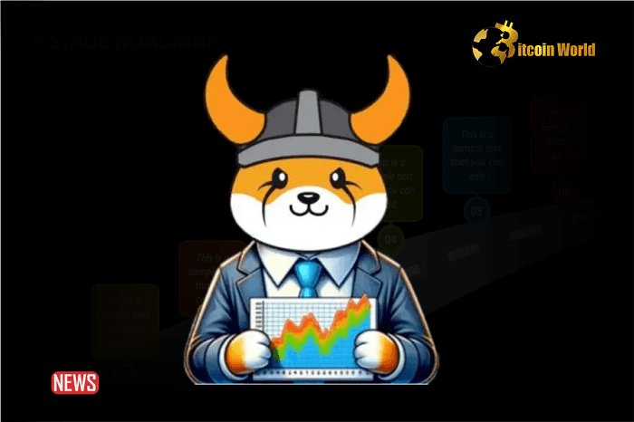 Floki Inu Releases 2024 Roadmap, Includes Digital Banking Accounts