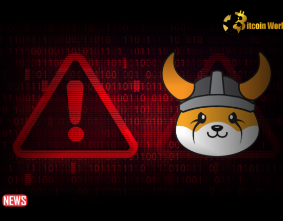 Floki Inu Warns Against Scam Tokens on Solana and Base