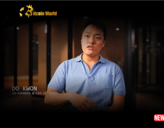 former ceo do kwon