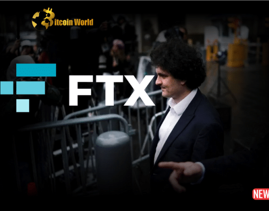 ftx lawyer