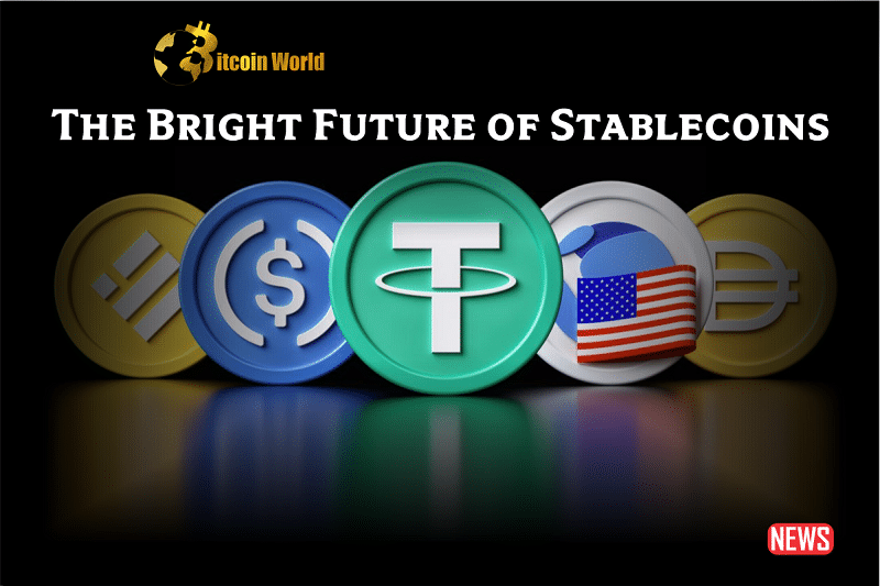 future of stable