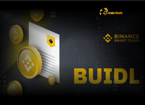 GameBuild Unleashes Powerful Expansion onto Binance Smart Chain