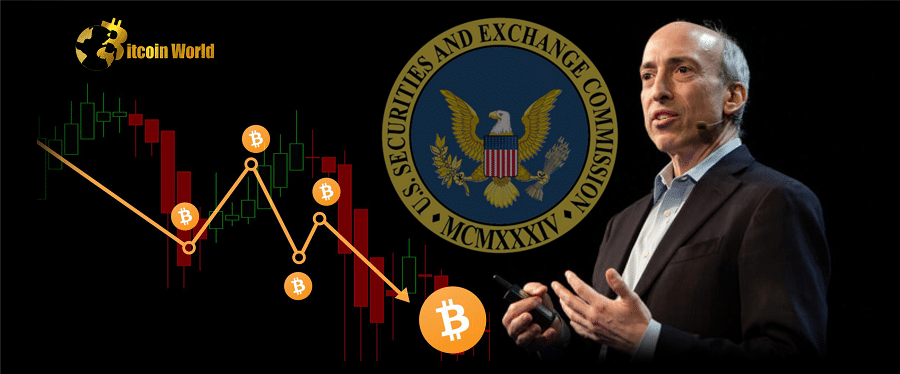 SEC’s ‘one-dimensional’ approach is slowing Bitcoin progress: Grayscale CEO