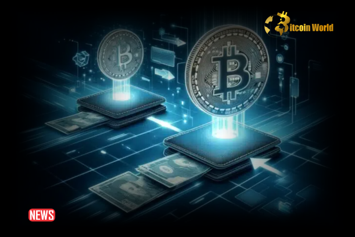 6,500 BTC Moved by German Government Wallet Raises Bitcoin Sale Concerns