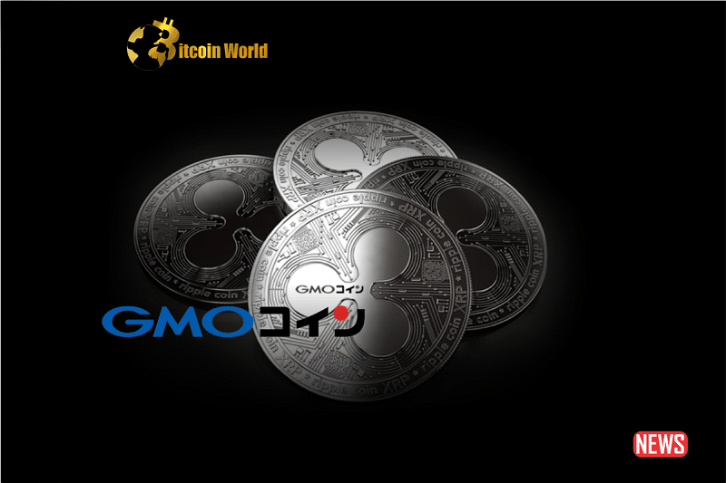 gmo coin
