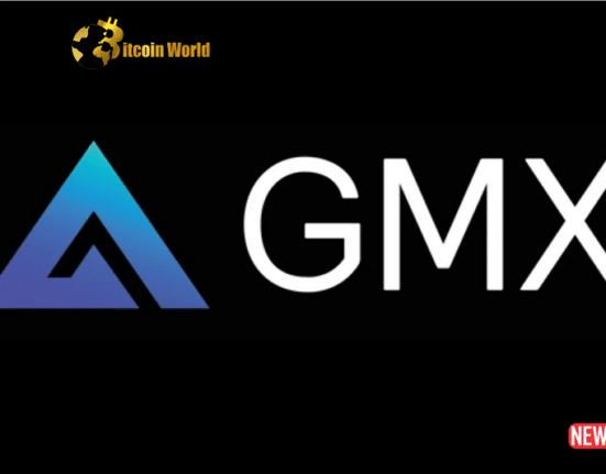 gmx fee