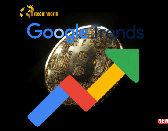 google trend btc