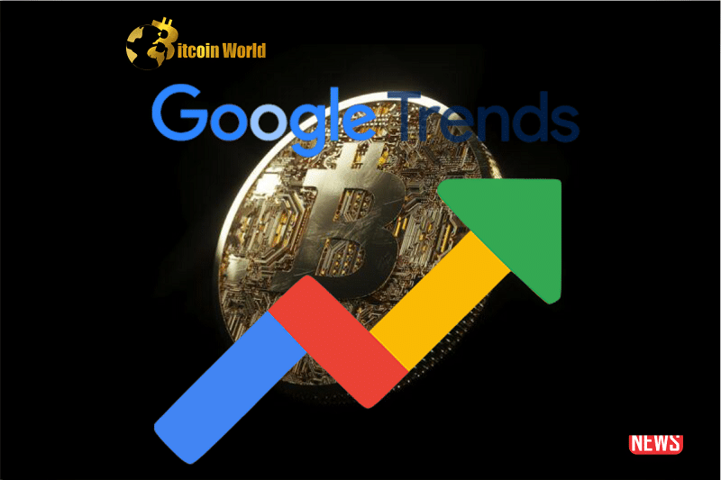 google trend btc