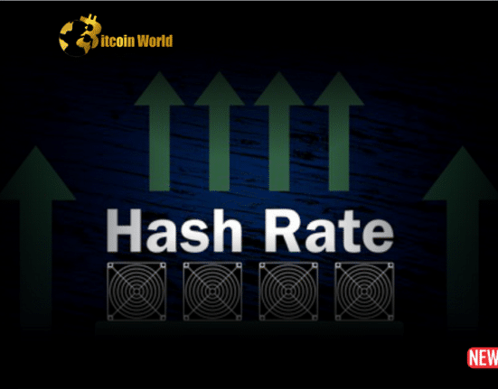 hash rate