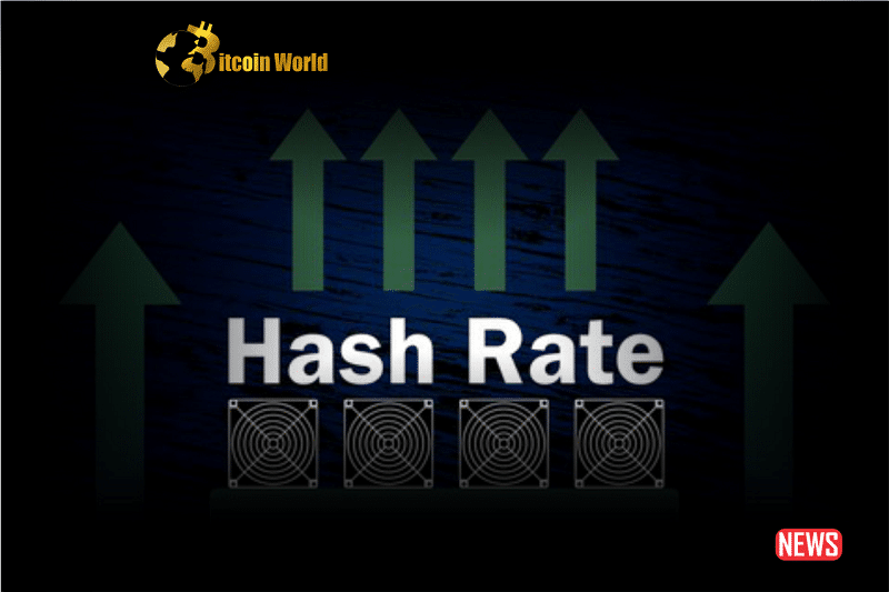 hash rate