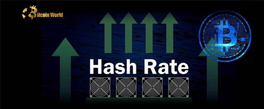 Bitcoin Hashrate Recovers After Big Freeze Shuts Down Miners
