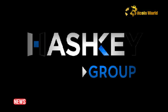 HashKey Group Partners With Telegram Catizen To Develop GameFi Sector