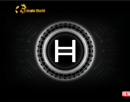 hedera blockchain