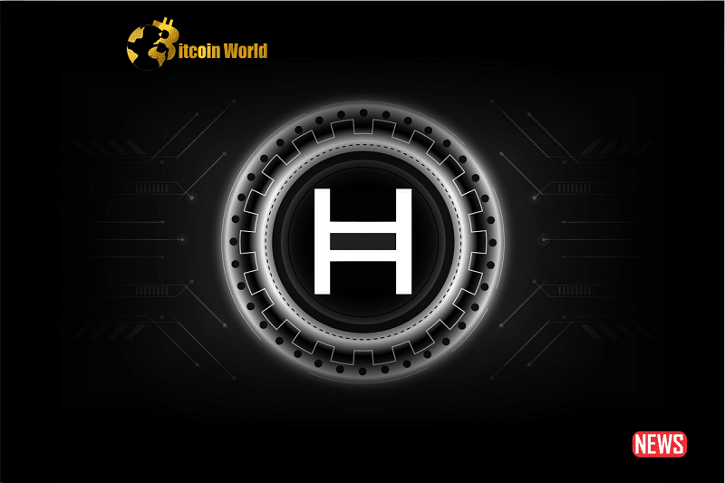 hedera blockchain