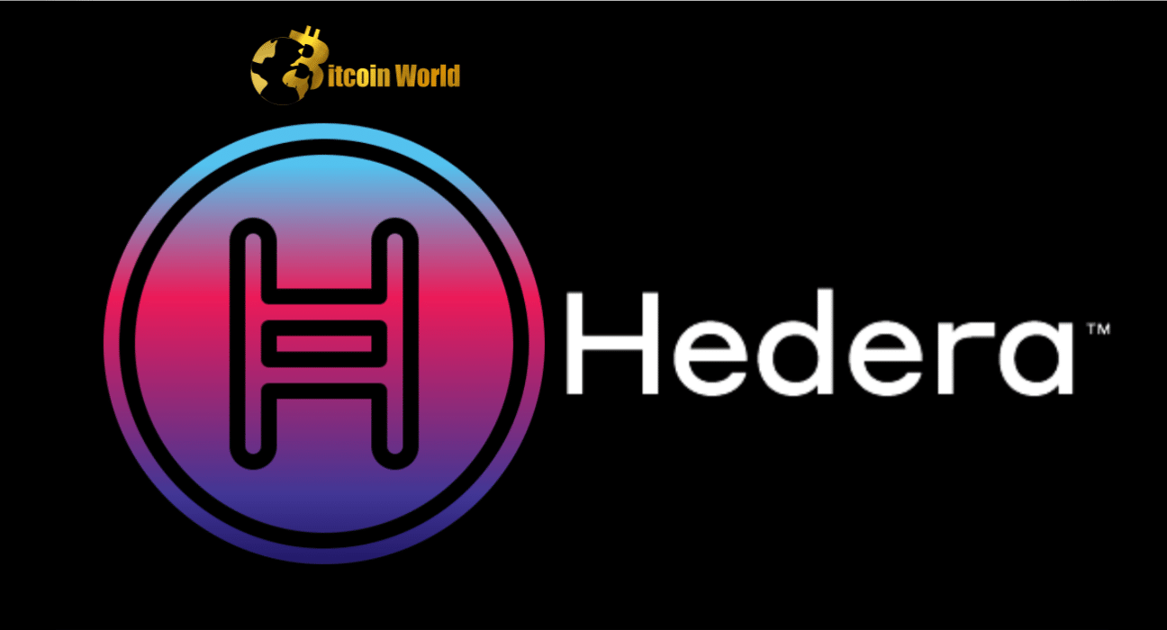 Hedera confirms exploit on mainnet led to theft of service tokens