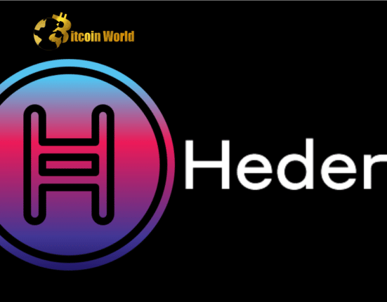 Hedera confirms exploit on mainnet led to theft of service tokens
