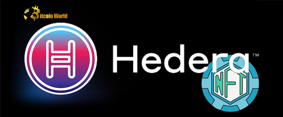 Hedera Prepares to Tap into the Next Major NFT Wave, Here’s How