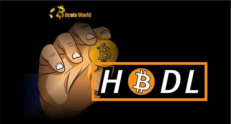 Bitcoin Hodl Patterns Indicate Cycle Shift to Bull Market