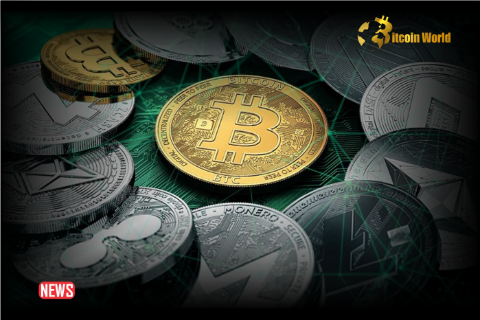 ‘Hold Onto Your Altcoins, But Don't Convert Bitcoin Into Altcoins’: Here’s When Your Favorite Alts Will Recover