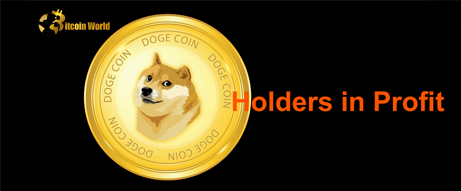 holders in profit