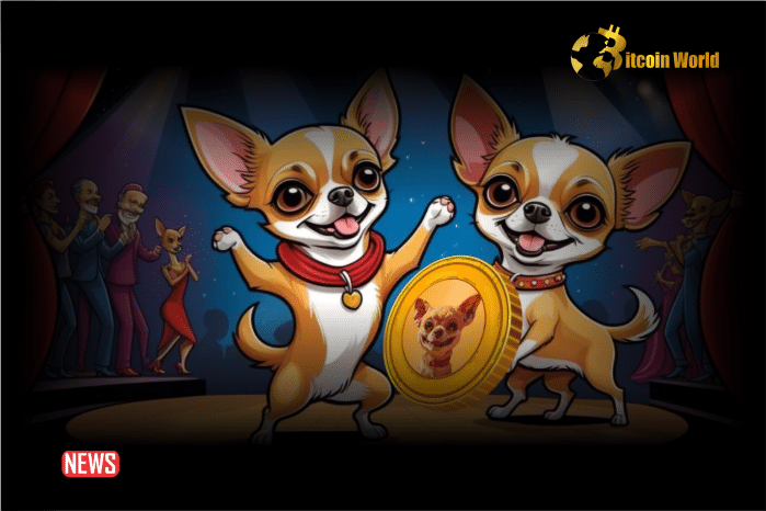 Newest Solana (SOL) Meme Coin Hump (HUMP) Rockets 2000%