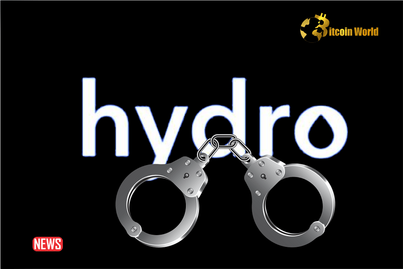 Manipulator Of Hydro Crypto Token Price Gets Jail Term