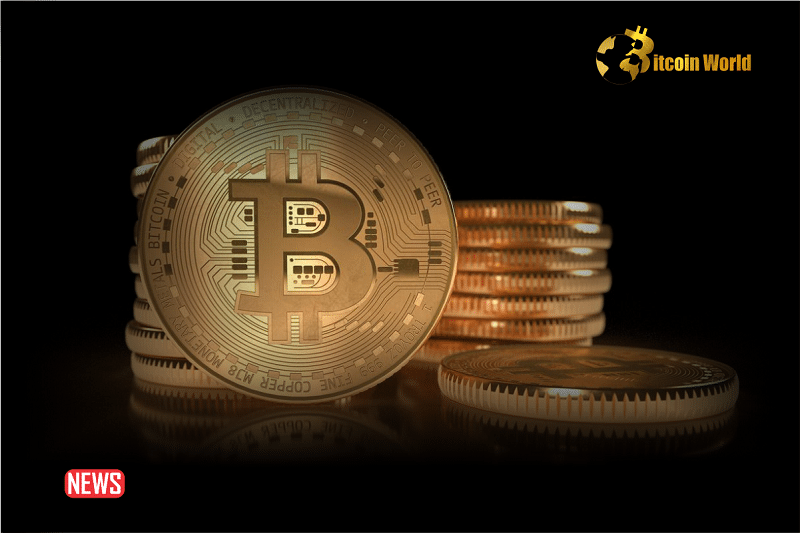 Can Crypto Address The Issue Of Income Inequality Globally?