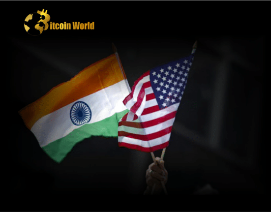 india usa users