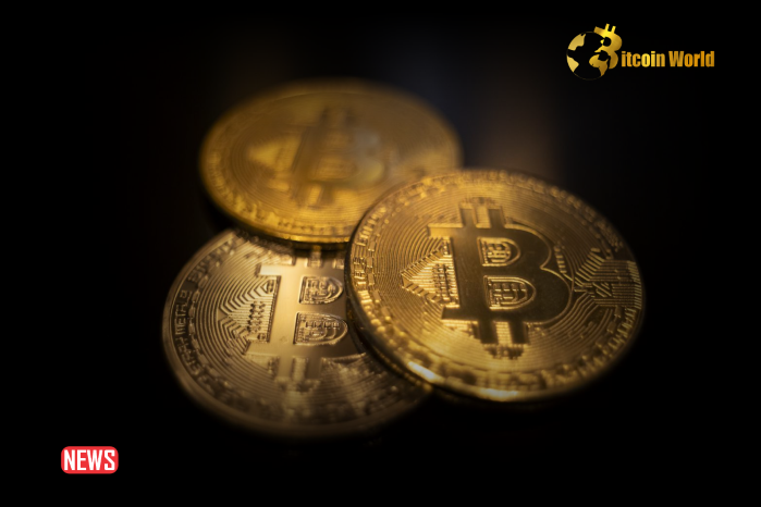New Bitcoin Investors Are In Severe Stress - Bitfinex