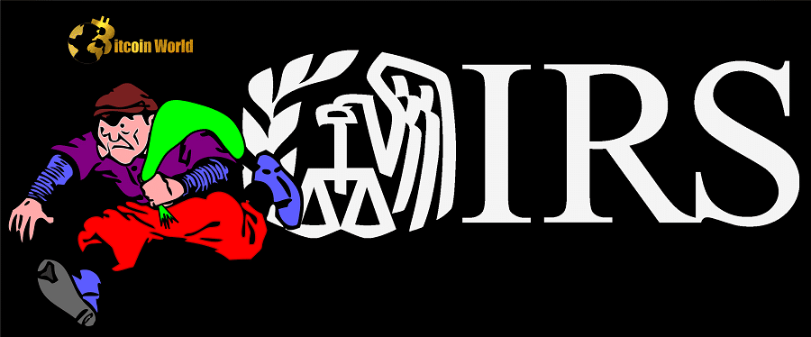 irs stole